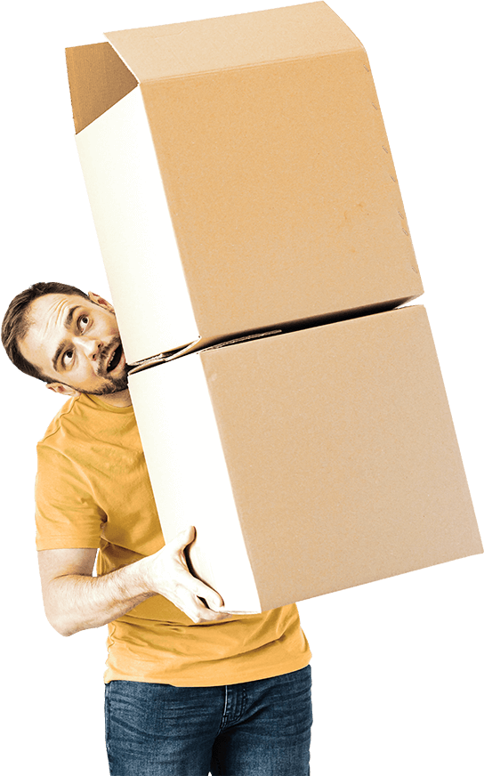 carton demenagement