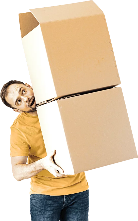 carton demenagement